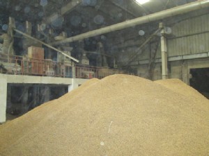 工廠(chǎng)環(huán)境